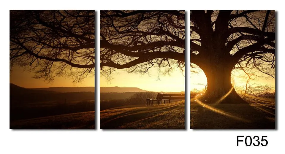 Tree in the Sunset